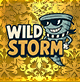 WILD STORM
