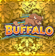 BUFFALO
