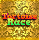 Tortoise Race