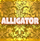 ALLIGATOR