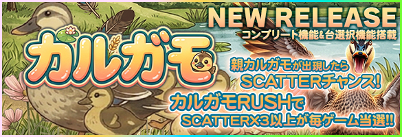 カルガモ