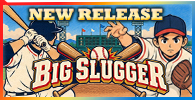 BIG SLUGGER